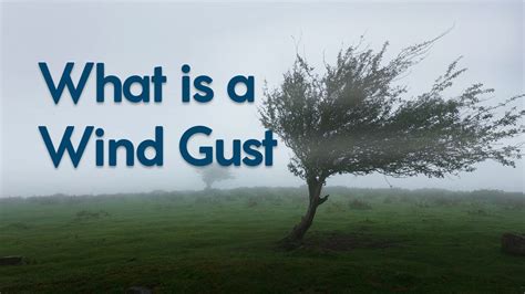what does gust mean.